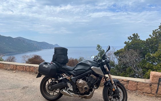 Gebrauchtmotorrad Honda CB650R - Bild 1