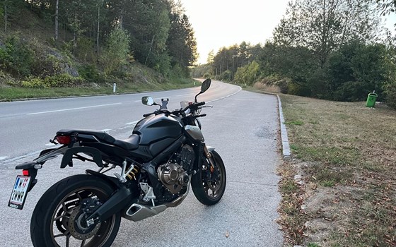 Gebrauchtmotorrad Honda CB650R - Bild 2