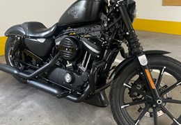 Gebrauchte Harley-Davidson Sportster XL 883 N Iron