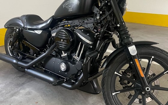 Gebrauchtmotorrad Harley-Davidson Sportster XL 883 N Iron - Bild 1