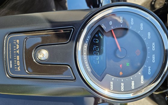 Gebrauchtmotorrad Harley-Davidson Fat Boy 30th Anniversary - Bild 2