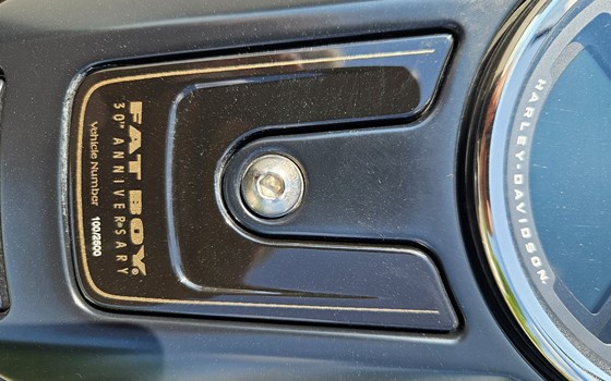 Gebrauchtmotorrad Harley-Davidson Fat Boy 30th Anniversary - Bild 3