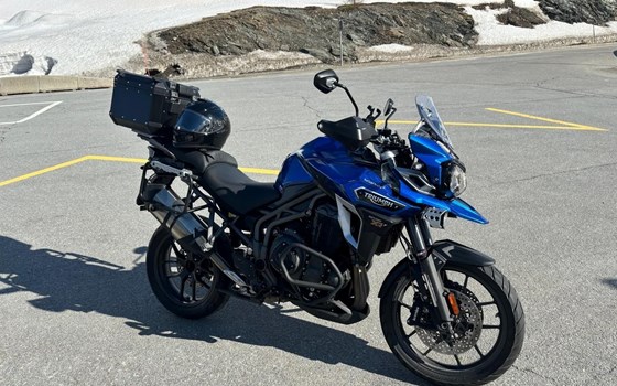 Motorrad Occasion Triumph Tiger Explorer XRT - Bild 1