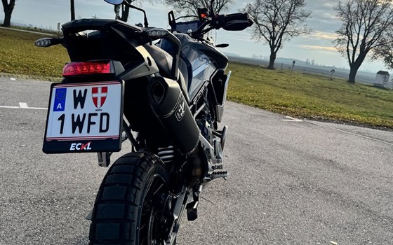 Gebrauchtmotorrad Triumph Tiger 900 Rally Pro - Bild 10