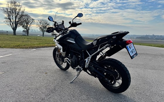 Gebrauchtmotorrad Triumph Tiger 900 Rally Pro - Bild 3
