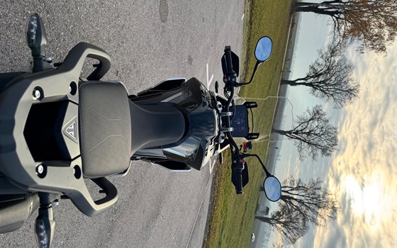 Gebrauchtmotorrad Triumph Tiger 900 Rally Pro - Bild 6