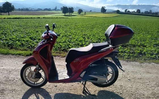 Gebrauchtmotorrad Honda SH125 - Bild 2