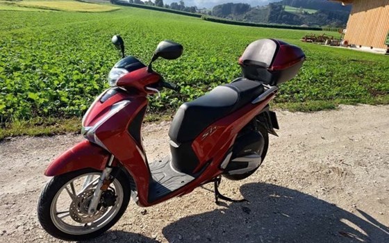 Gebrauchtmotorrad Honda SH125 - Bild 3