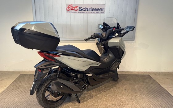 Gebrauchtmotorrad Honda Forza 350 - Bild 3