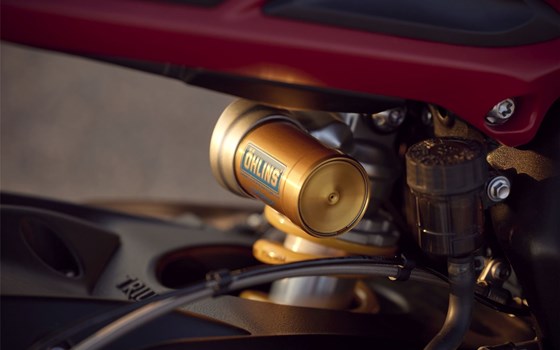 Neufahrzeug Triumph Street Triple 765 RX - Bild 8