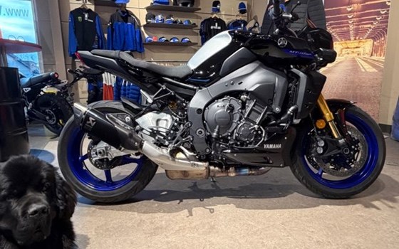 Gebrauchtmotorrad Yamaha MT-10 SP - Bild 3