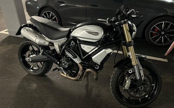 Gebrauchtmotorrad Ducati Scrambler 1100 - Bild 1