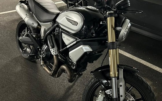 Gebrauchtmotorrad Ducati Scrambler 1100 - Bild 3