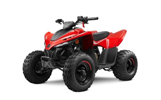 Neufahrzeug CFMOTO CForce 110 - Bild 2