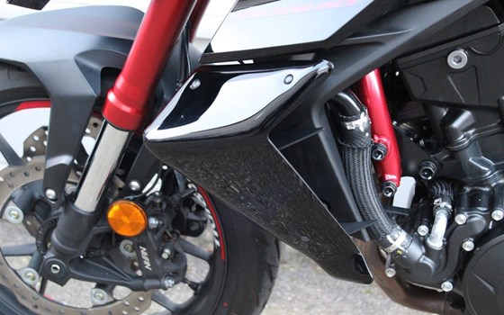 Gebrauchtmotorrad Honda CB750 Hornet - Bild 15