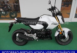 Neumotorrad Honda MSX125 Grom