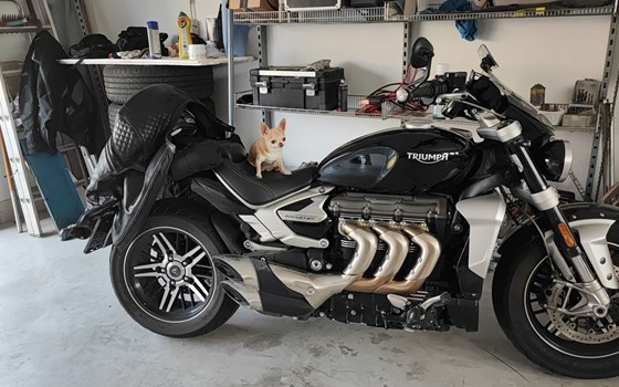 Gebrauchtmotorrad Triumph Rocket 3 GT - Bild 3