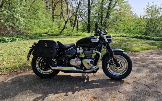 Gebrauchtmotorrad Triumph Bonneville Speedmaster - Bild 7