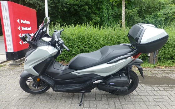 Gebrauchtmotorrad Honda Forza 125 - Bild 2