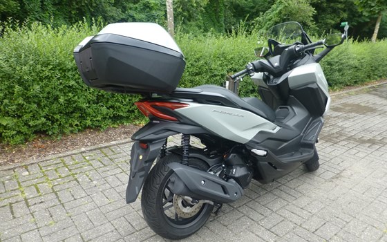Gebrauchtmotorrad Honda Forza 125 - Bild 4