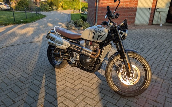 Gebrauchtmotorrad Triumph Scrambler 1200 X - Bild 2