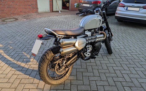 Gebrauchtmotorrad Triumph Scrambler 1200 X - Bild 5