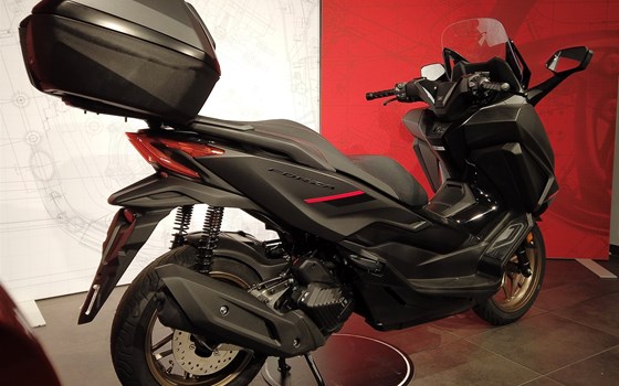 Gebrauchtmotorrad Honda Forza 125 - Bild 2