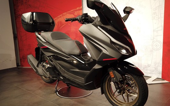 Gebrauchtmotorrad Honda Forza 125 - Bild 3