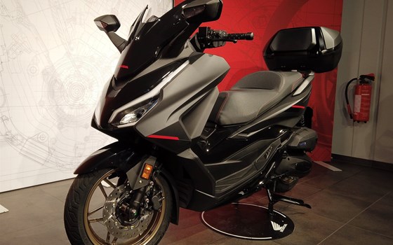 Gebrauchtmotorrad Honda Forza 125 - Bild 4