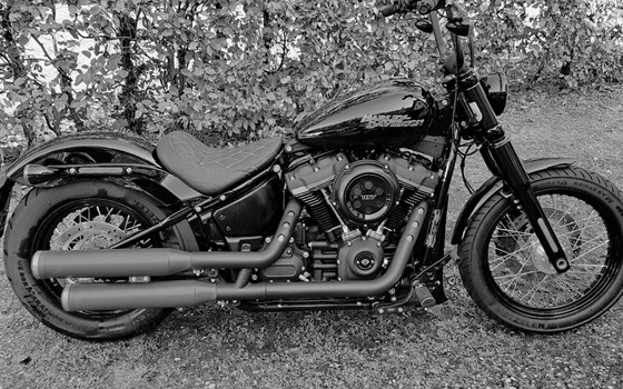 Gebrauchtmotorrad Harley-Davidson Softail Street Bob FXBB - Bild 3