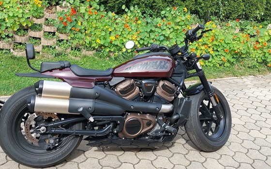 Gebrauchtmotorrad Harley-Davidson Sportster S RH1250S - Bild 1