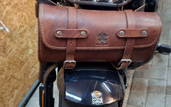 Gebrauchtmotorrad Harley-Davidson Sportster S RH1250S - Bild 9