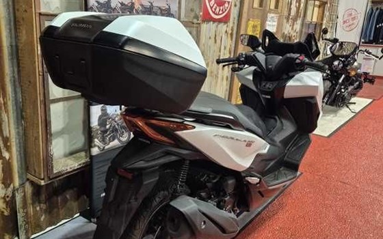 Gebrauchtmotorrad Honda Forza 350 - Bild 5