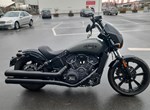Angebot Indian Scout Rogue
