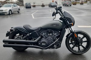 Angebot Indian Scout Rogue
