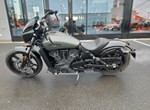 Angebot Indian Scout Rogue