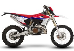 Neumotorrad Fantic XE 300