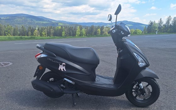 Gebrauchtmotorrad Yamaha D'elight - Bild 1