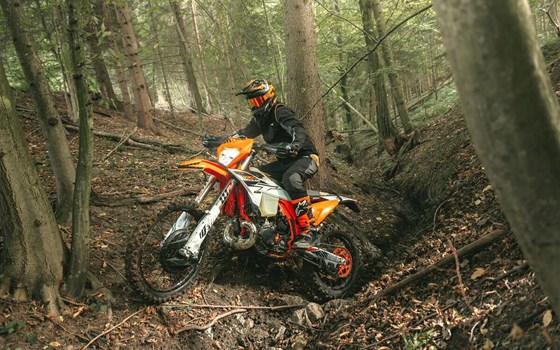 Neufahrzeug KTM 300 EXC HARDENDURO - Bild 17