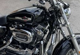 Gebrauchte Harley-Davidson Sportster XL 1200C Custom