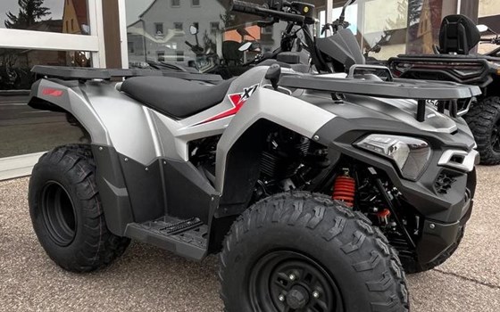 Neufahrzeug Loncin Desert Storm 250 - Bild 7