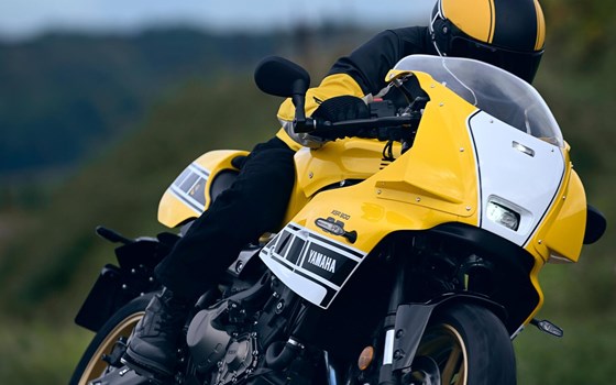 Neufahrzeug Yamaha XSR900 GP - Bild 5