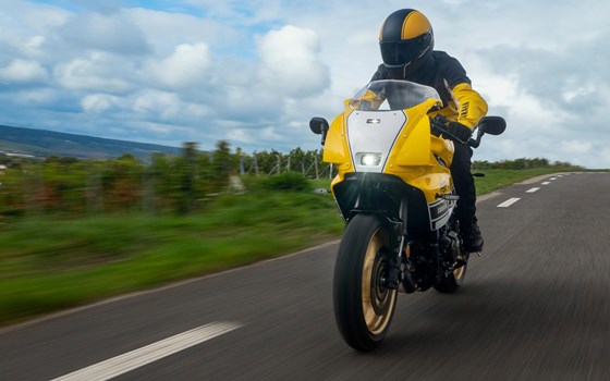 Neufahrzeug Yamaha XSR900 GP - Bild 8