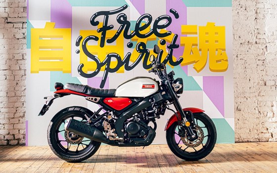 Neufahrzeug Yamaha XSR125 - Bild 7