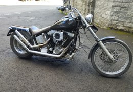 Gebrauchte Harley-Davidson Softail Custom FXSTC