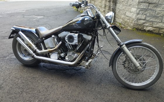 Gebrauchtmotorrad Harley-Davidson Softail Custom FXSTC - Bild 1