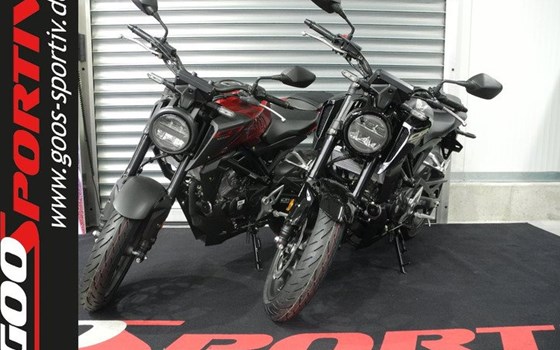 Neufahrzeug Honda CB125R - Bild 1