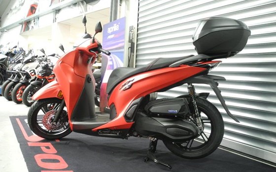 Neufahrzeug Honda SH350i - Bild 2