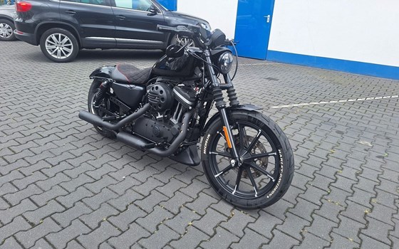 Gebrauchtmotorrad Harley-Davidson Sportster XL 883 - Bild 1