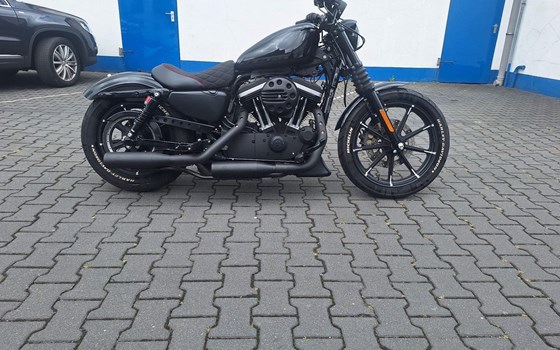Gebrauchtmotorrad Harley-Davidson Sportster XL 883 - Bild 2